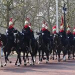 Royal Tour of St James', Parks, Palaces and Royal intrigue - What Reviewers Say