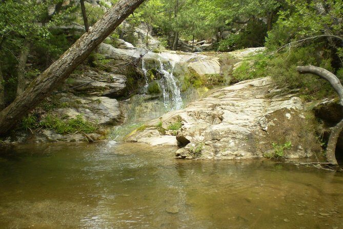 Safari 4x4 in Thassos - Who Will Love This Tour?