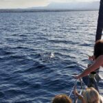 Sailing day to Dia island - What Makes This Tour Stand Out?