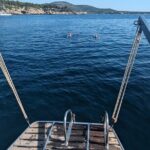 Sailing Experience to Capo Caccia from Alghero - Practical Tips for Your Day on the Water