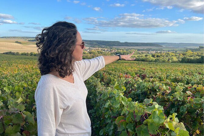 Sancerre Small Group Wine Day Trip with Wine Tastings and Lunch - What Makes This Tour Stand Out?