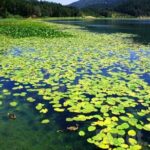 Sapanca Lake & Masukiye Tour From Istanbul - Who Is This Tour Best Suited For?