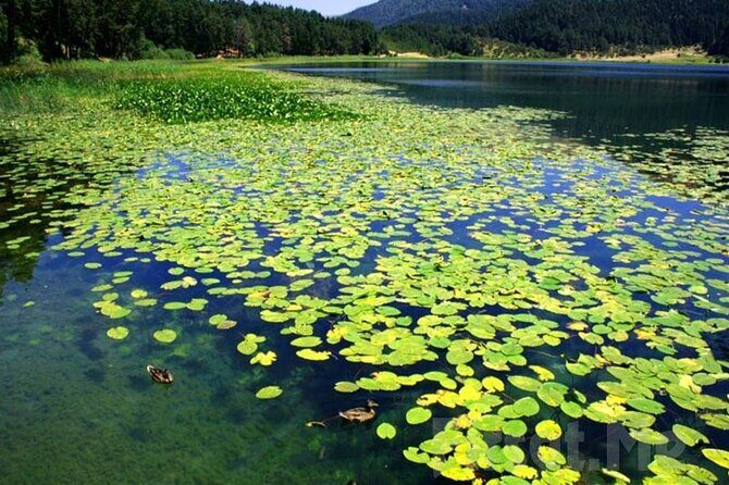 Sapanca Lake & Masukiye Tour From Istanbul - Who Is This Tour Best Suited For?
