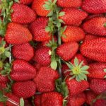 Savor Athens Walk: A Culinary & Travel Writers Insider Food Tour - The Practical Side: What to Expect