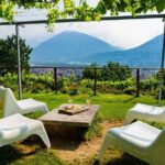 Savor Ossola Wines & Local Treats in a Scenic Vineyard - Why You’ll Love This Experience