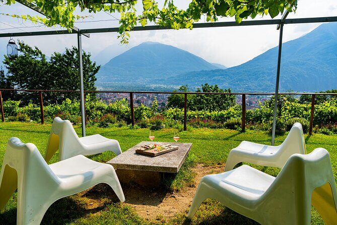Savor Ossola Wines & Local Treats in a Scenic Vineyard - Why You’ll Love This Experience