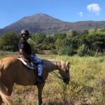 Scenic Horseback Ride, Wine Tasting & Lunch on Mt. Vesuvius - Key Points