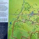 Scone Palace, Nature, Pitlochry, Whisky Experience from Edinburgh - Conclusions