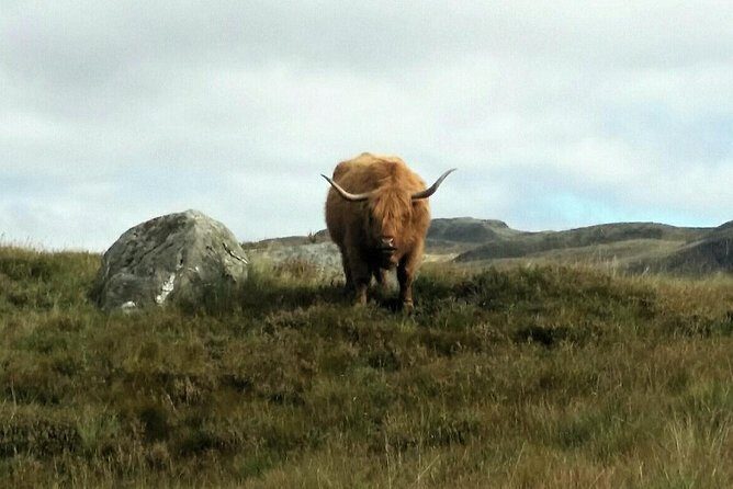 Scottish Highlands Freedom Bike & E- Bike Tour with Transfers - Authentic Insights from Reviewers