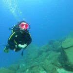 Scuba Dive excursion for Beginners in a Turtle Area - Who Would Love This Experience?