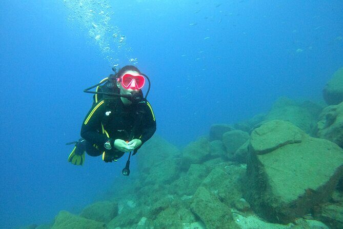 Scuba Dive excursion for Beginners in a Turtle Area - Who Would Love This Experience?