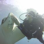 Scuba Diving Beginner's Session in Costa Adeje - The Shallow Water Practice