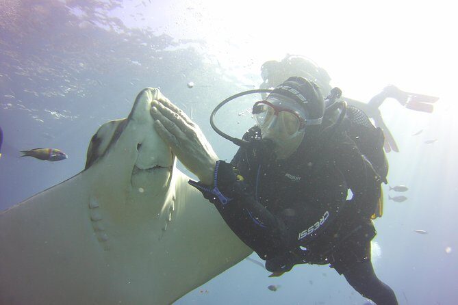 Scuba Diving Beginner's Session in Costa Adeje - The Shallow Water Practice