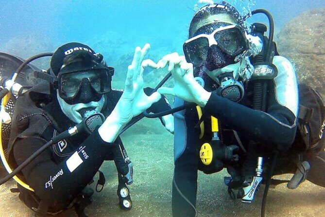Scuba Diving Experience in Madeira - What You Can Expect from This Madeira Scuba Tour