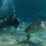 SCUBA DIVING first time experience - The Sum Up