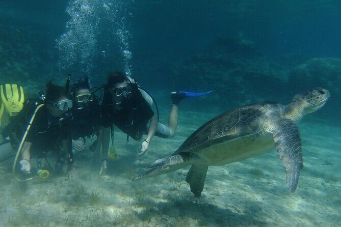 SCUBA DIVING first time experience - The Sum Up