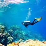 Scuba Diving for Beginners in Marmaris and Icmeler - Authentic Experiences and Review Insights