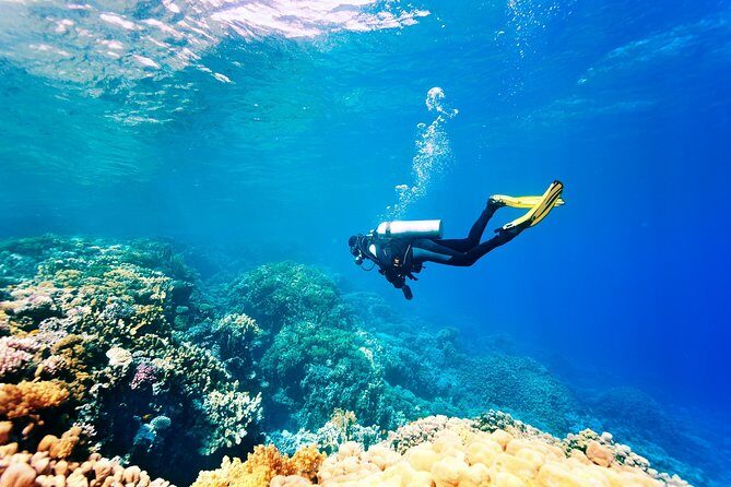 Scuba Diving for Beginners in Marmaris and Icmeler - Authentic Experiences and Review Insights