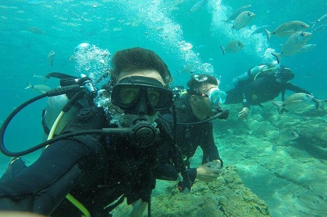 Scuba Diving from Bodrum - The Authenticity and Value of the Experience