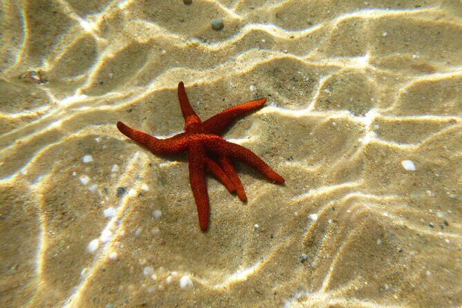 Sea kayaking Mykonos natural beauty beaches - What to Expect During the Tour