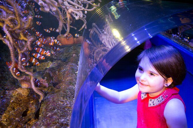 SEA LIFE Birmingham Admission Ticket - Final Thoughts on Value and Experience