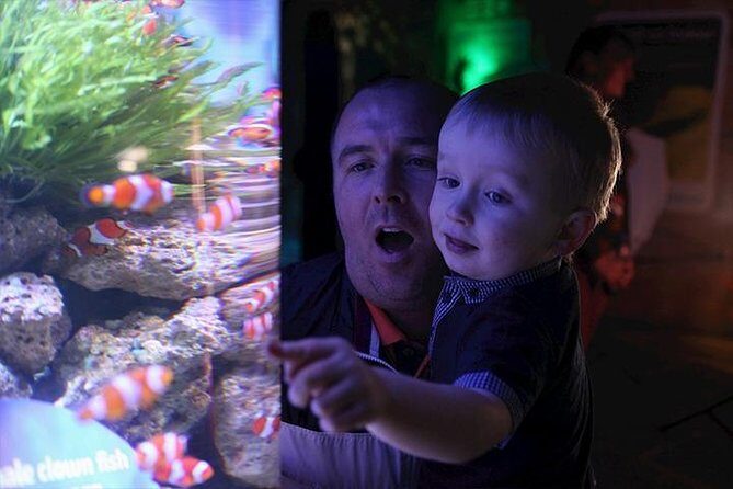 SEA LIFE Blackpool Admission Ticket - Exploring the Native Shoreline Exhibits
