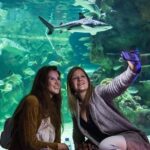 SEA LIFE Brighton Admission Ticket - The Experience: What Visitors Say