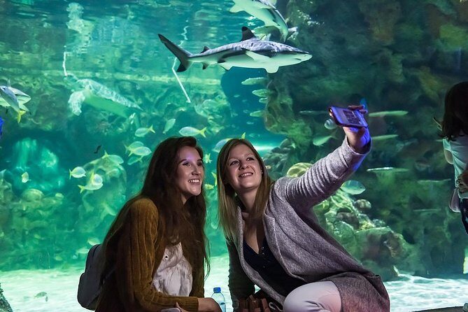 SEA LIFE Brighton Admission Ticket - The Experience: What Visitors Say