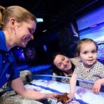 SEA LIFE London Aquarium Admission Ticket - The Sum Up: Is It Worth Visiting?