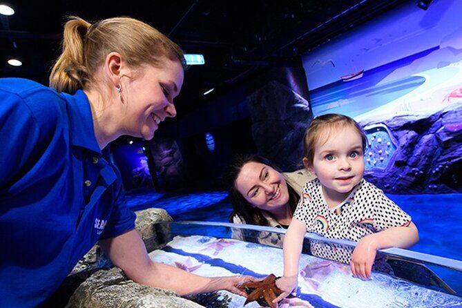 SEA LIFE London Aquarium Admission Ticket - The Sum Up: Is It Worth Visiting?