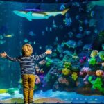 SEA LIFE Timmendorfer Strand Admission Ticket - Who Would Love This Experience?