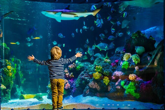 SEA LIFE Timmendorfer Strand Admission Ticket - Who Would Love This Experience?