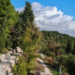 Secret Marjan Park Hiking Tour in Split - Who This Tour Is Perfect For