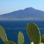 Secrets Walks of Sorrento with a Local - Price and Value: Are You Getting Your Moneys Worth?