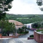 Semi Private Wine and Olive Oil tour (Transfer & Lunch Incl.) - What’s Included and Why It Matters