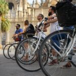 Seville Highlights Bike Tour (English) - Final Thoughts: Who Will Love This Tour?
