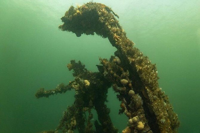 Shipwreck Hunters - The Sum Up: Who Is This Tour Best For?