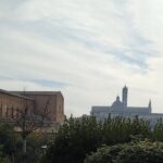 Shore excursion from Livorno to Siena and San Gimignano by private minivan - Practical Tips for Making the Most of the Tour