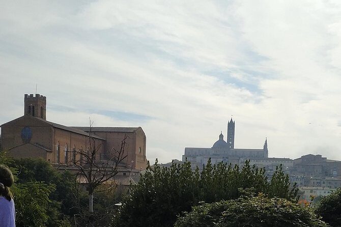 Shore excursion from Livorno to Siena and San Gimignano by private minivan - Practical Tips for Making the Most of the Tour