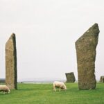 Shore Excursion Kirkwall Small Group Highlights of Orkney - The Experience: Practicalities and What You Can Expect