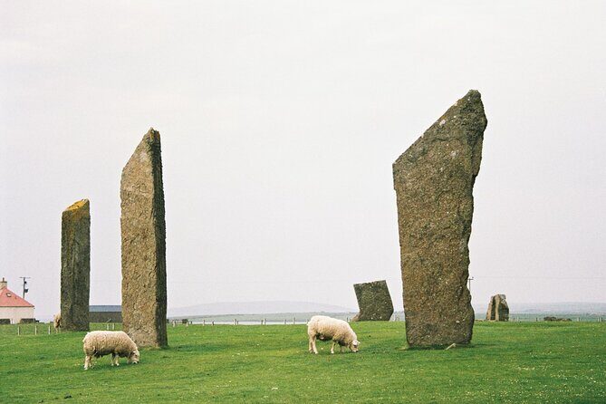 Shore Excursion Kirkwall Small Group Highlights of Orkney - The Experience: Practicalities and What You Can Expect