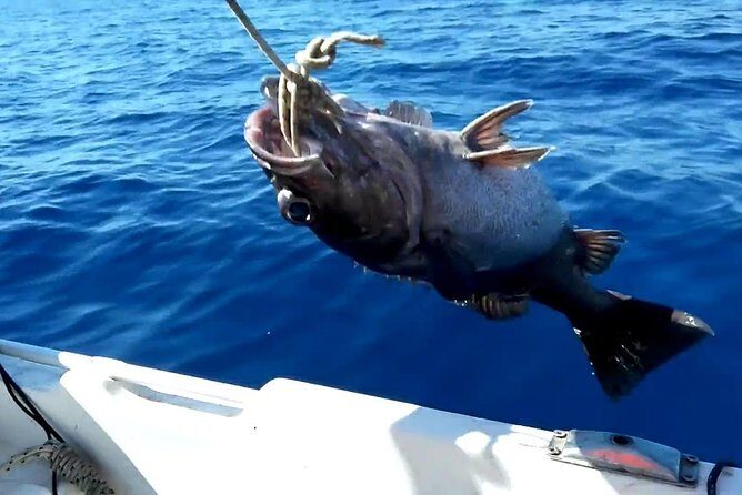 "Side Half-Day Fishing Adventure: Transfer Included!" - Authentic Insights from Past Travelers