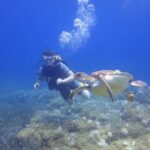 Side: Scuba Diving Under Water Museum - The Itinerary in Detail