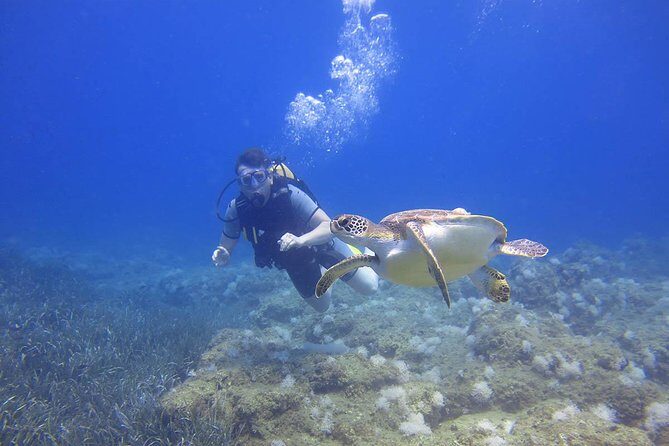 Side: Scuba Diving Under Water Museum - The Itinerary in Detail
