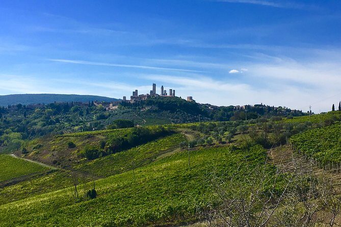 Siena and San Gimignano Tour from Florence - What’s Included and What to Consider