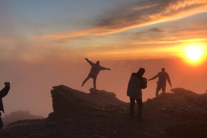 Sierra Nevada Safari 7 hours tour from Granada - Final Thoughts: Who Should Book?