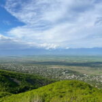 Sighnaghi Day Trip with wine tasting and Bodbe Monastery - A Deep Dive into the Sighnaghi Day Trip Experience
