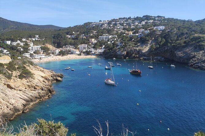 Sightseeing Day Trip along the South West Coast of Ibiza ES Vedra - Practical Details & What You Need to Know