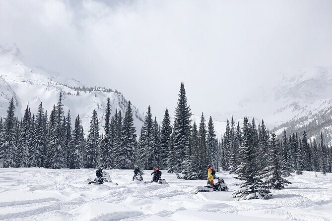 Ski & Snow Tour to Bakuriani from Kutaisi with Borjomi Stop - Authentic Experiences & Insights from Travelers