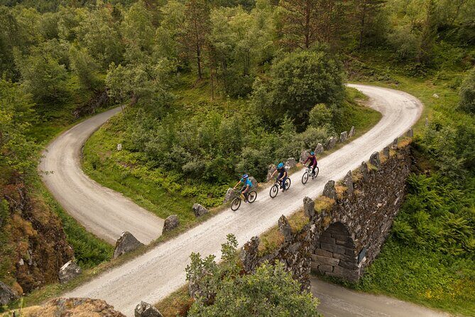 Sky to Fjord Geiranger Downhill Biking Adventure - The Experience and Customer Feedback